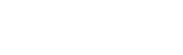 2019年